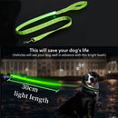 One blink of darkness... and they’re gone. Keep your best friend glowing, safe, and by your side always