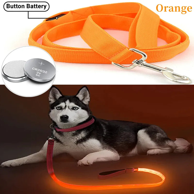 One blink of darkness... and they’re gone. Keep your best friend glowing, safe, and by your side always