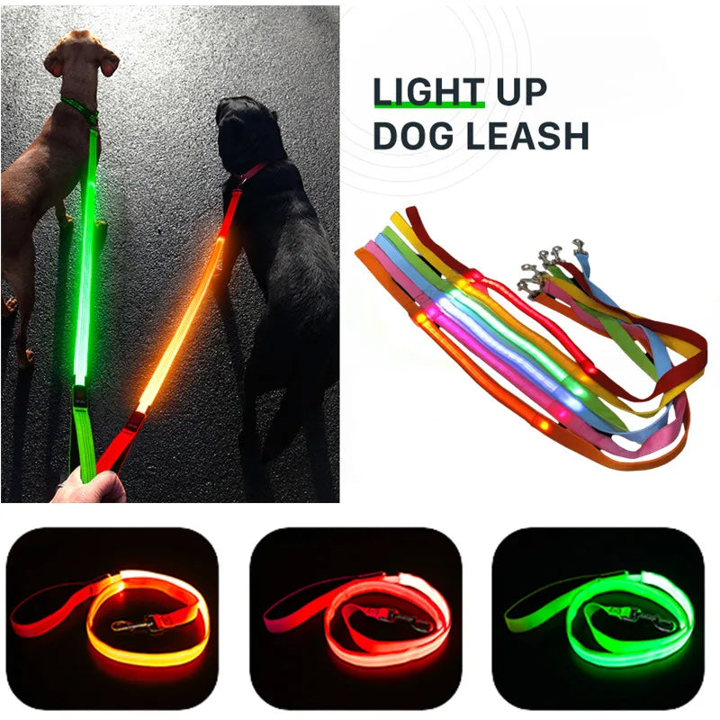 One blink of darkness... and they’re gone. Keep your best friend glowing, safe, and by your side always