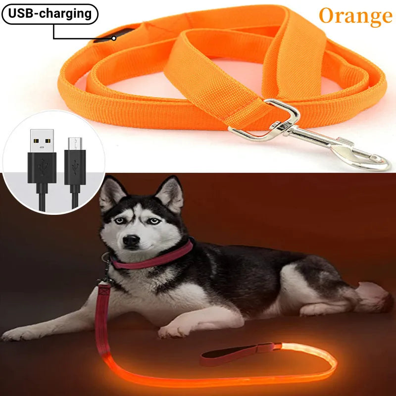One blink of darkness... and they’re gone. Keep your best friend glowing, safe, and by your side always