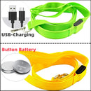 One blink of darkness... and they’re gone. Keep your best friend glowing, safe, and by your side always